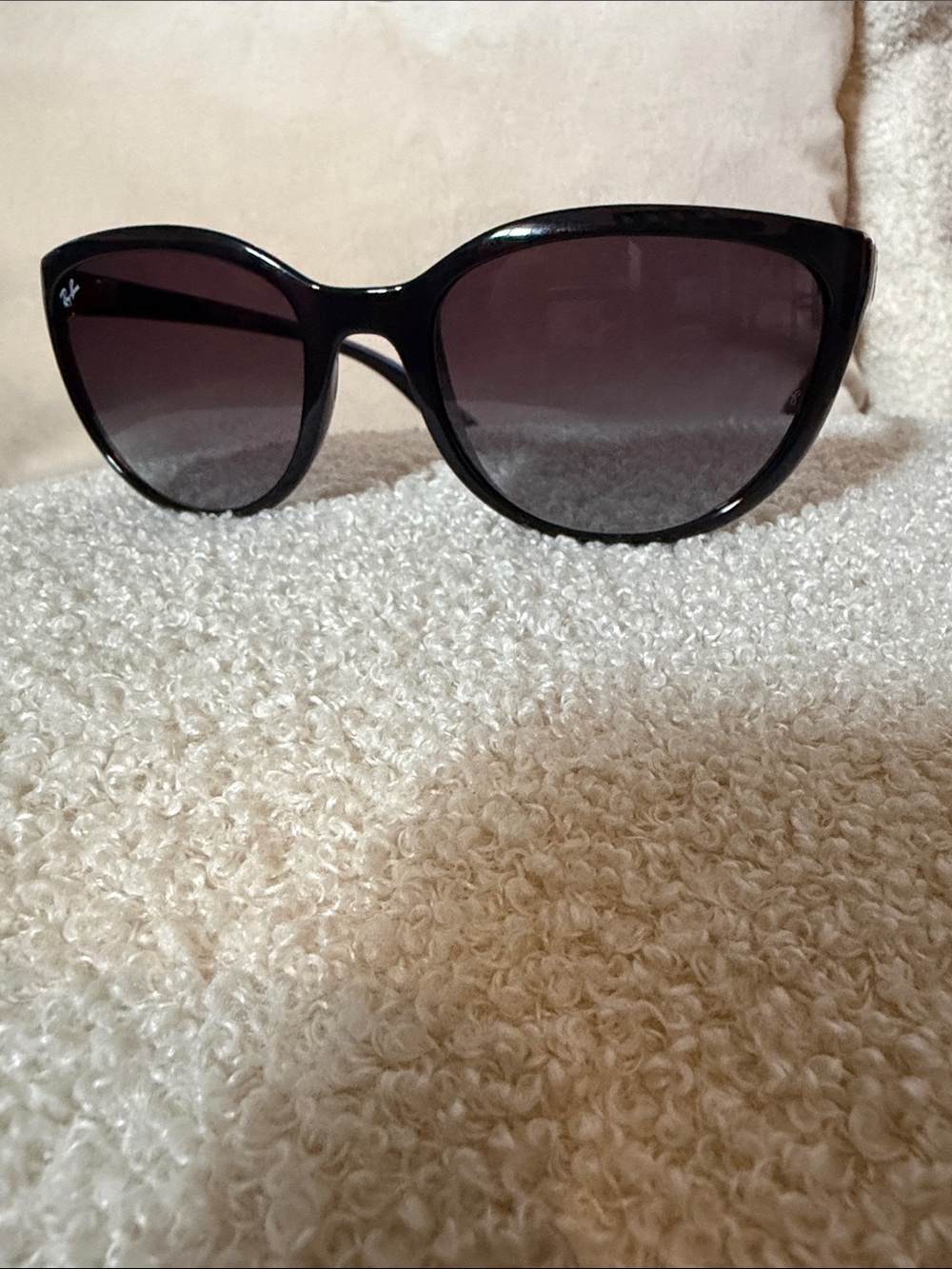 Ray-Ban Black Oversized Cat-Eye Sunglasses